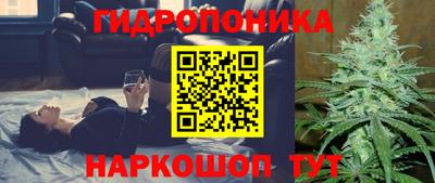 сатива Дубна