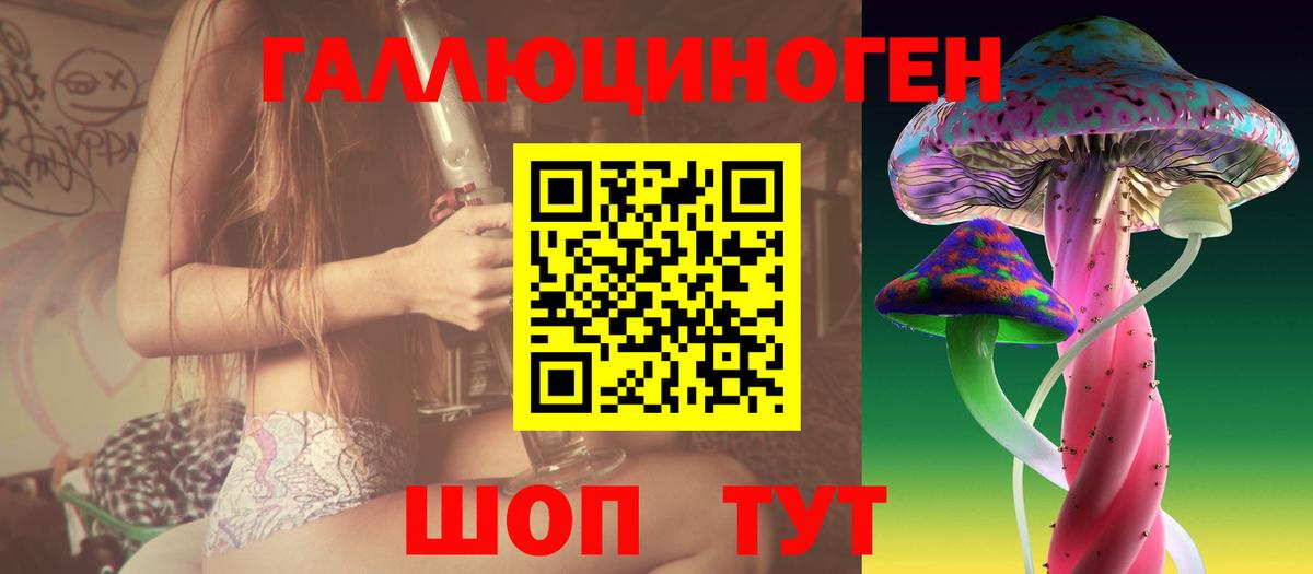 Псилоцибиновые грибы GOLDEN TEACHER Моздок